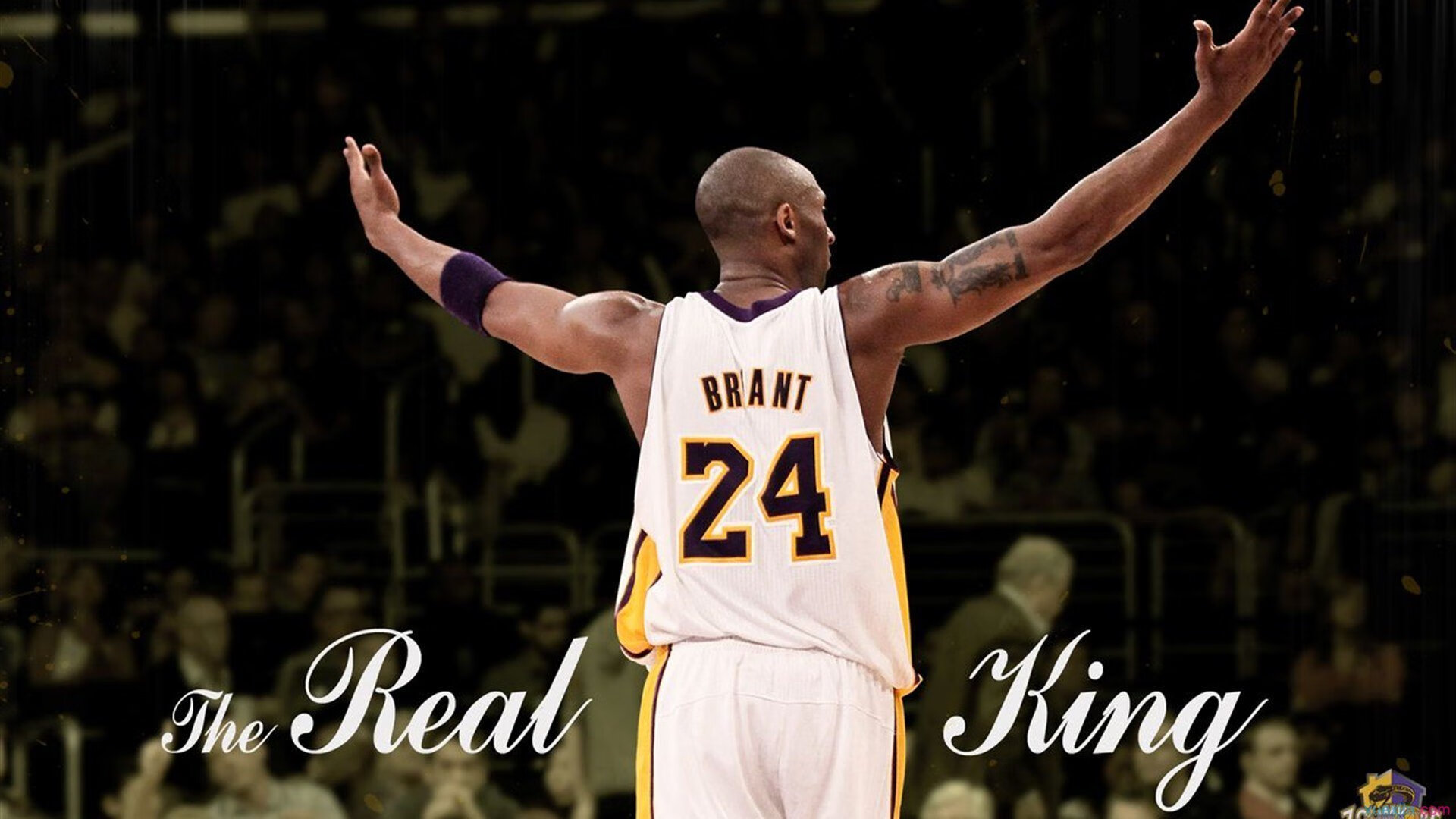 开云官网在线-美洲杯明星聚集：场场精彩，令人难忘！，美洲杯明星球员